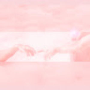 Meet your Posher, Sofia